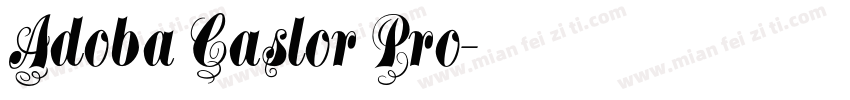 Adoba Caslor Pro字体转换